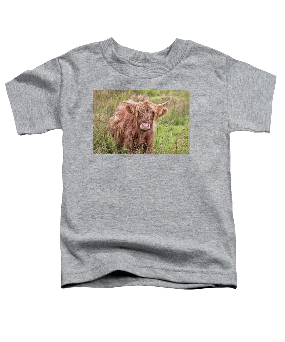 Cow Toddler T-Shirt featuring the photograph Highland Cow #1 by Martin Newman