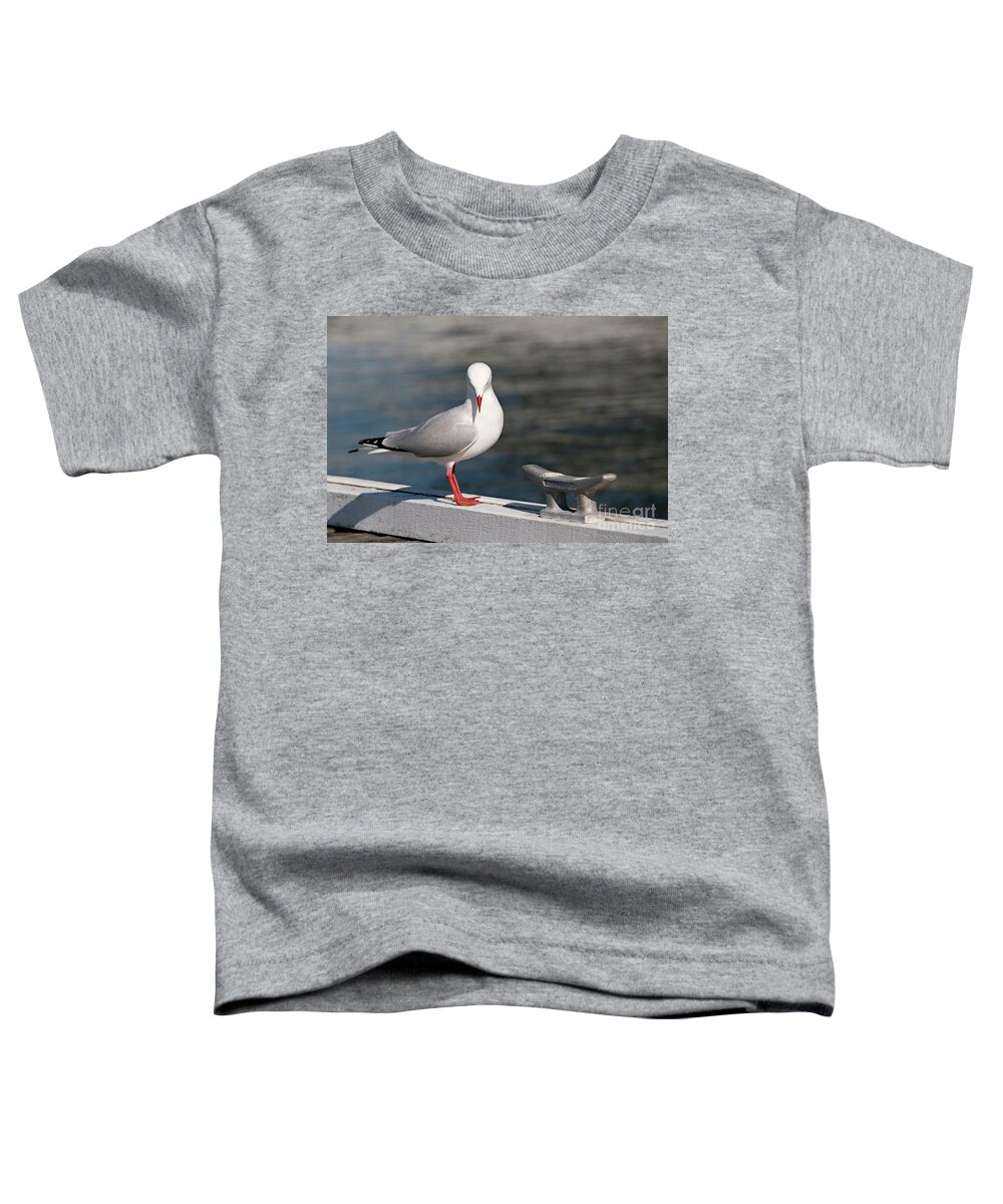 Nature Photography Toddler T-Shirt featuring the photograph Humble Beauty - Seagull #1 by Geoff Childs
