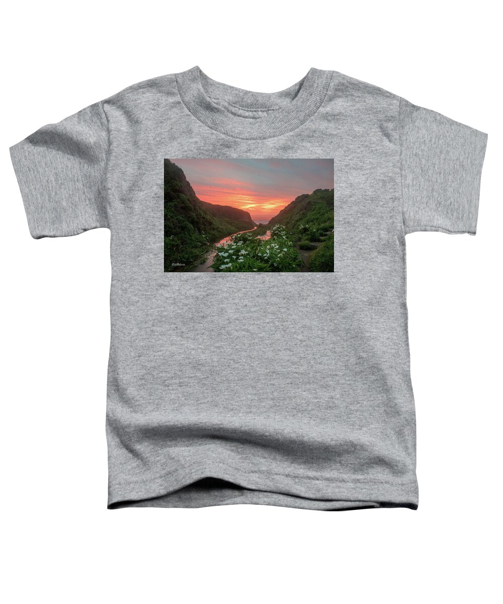 Big Sur Toddler T-Shirt featuring the photograph Lilies Of the Gulch by Bill Roberts
