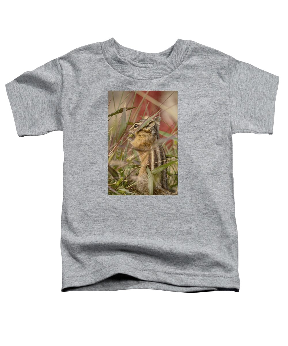 Chipmunk Toddler T-Shirt featuring the photograph Little Chipmunk #1 by Loni Collins