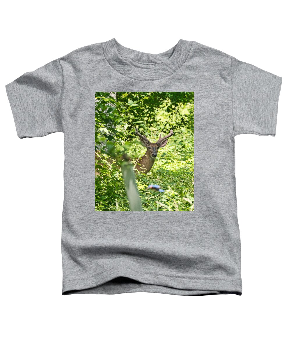 Animal Toddler T-Shirt featuring the photograph Looking at you #1 by Paul Ross