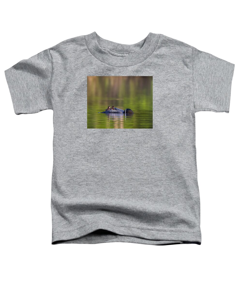 Common Loon Toddler T-Shirt featuring the photograph Loon Chick Yawn #2 by John Vose