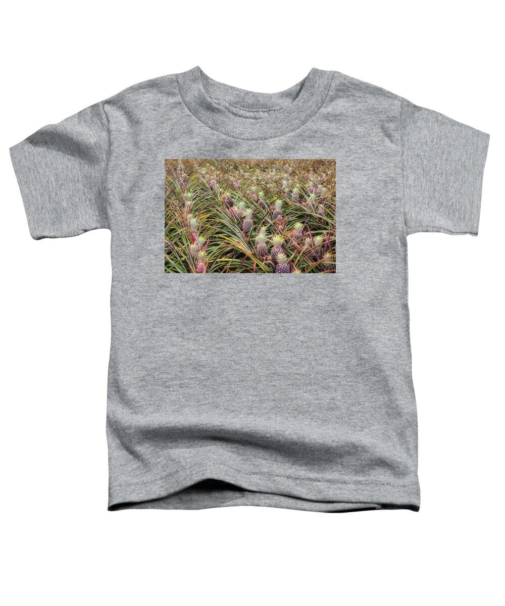 Hawaii Toddler T-Shirt featuring the photograph Maui Gold Pineapples #1 by Jim Thompson