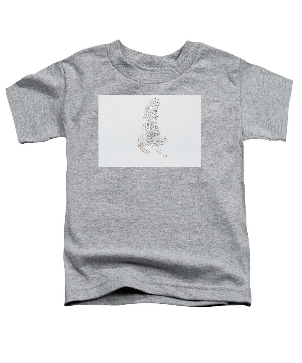 Snowy Owl Toddler T-Shirt featuring the photograph On The Move. #1 by Evelyn Garcia