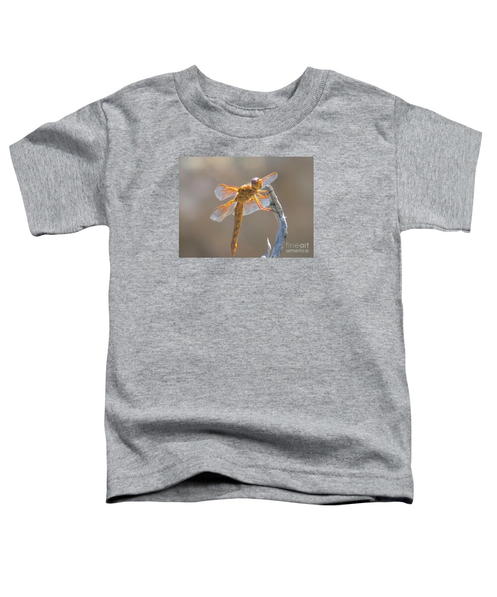 Orange Toddler T-Shirt featuring the photograph Dragonfly 5 by Christy Garavetto