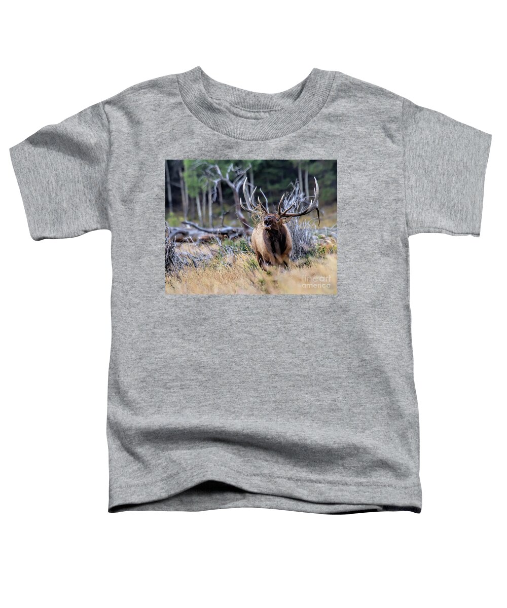 Elk Toddler T-Shirt featuring the photograph Raging Bull by Jim Garrison