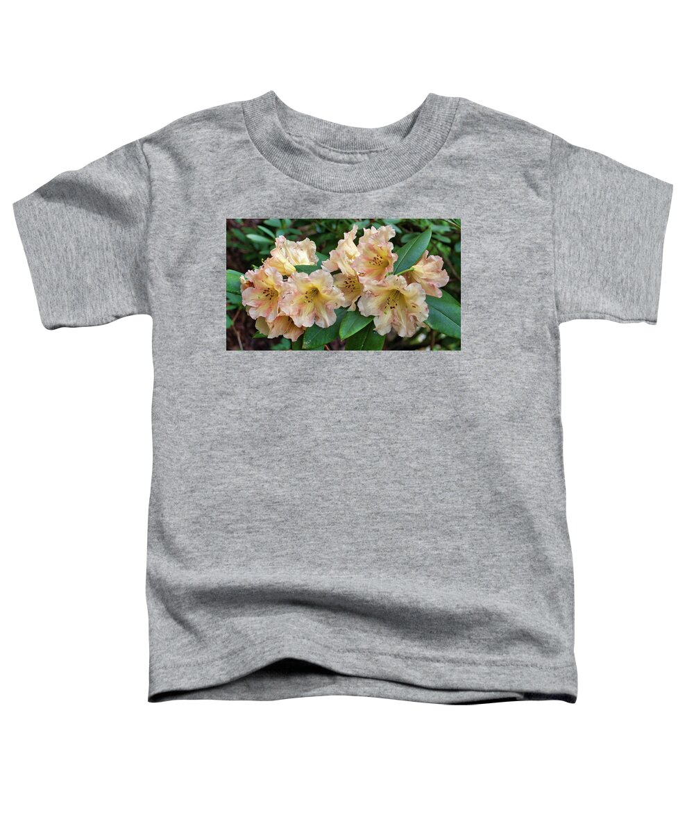 Oregon Toddler T-Shirt featuring the photograph Rhododendron #3 by Harold Rau