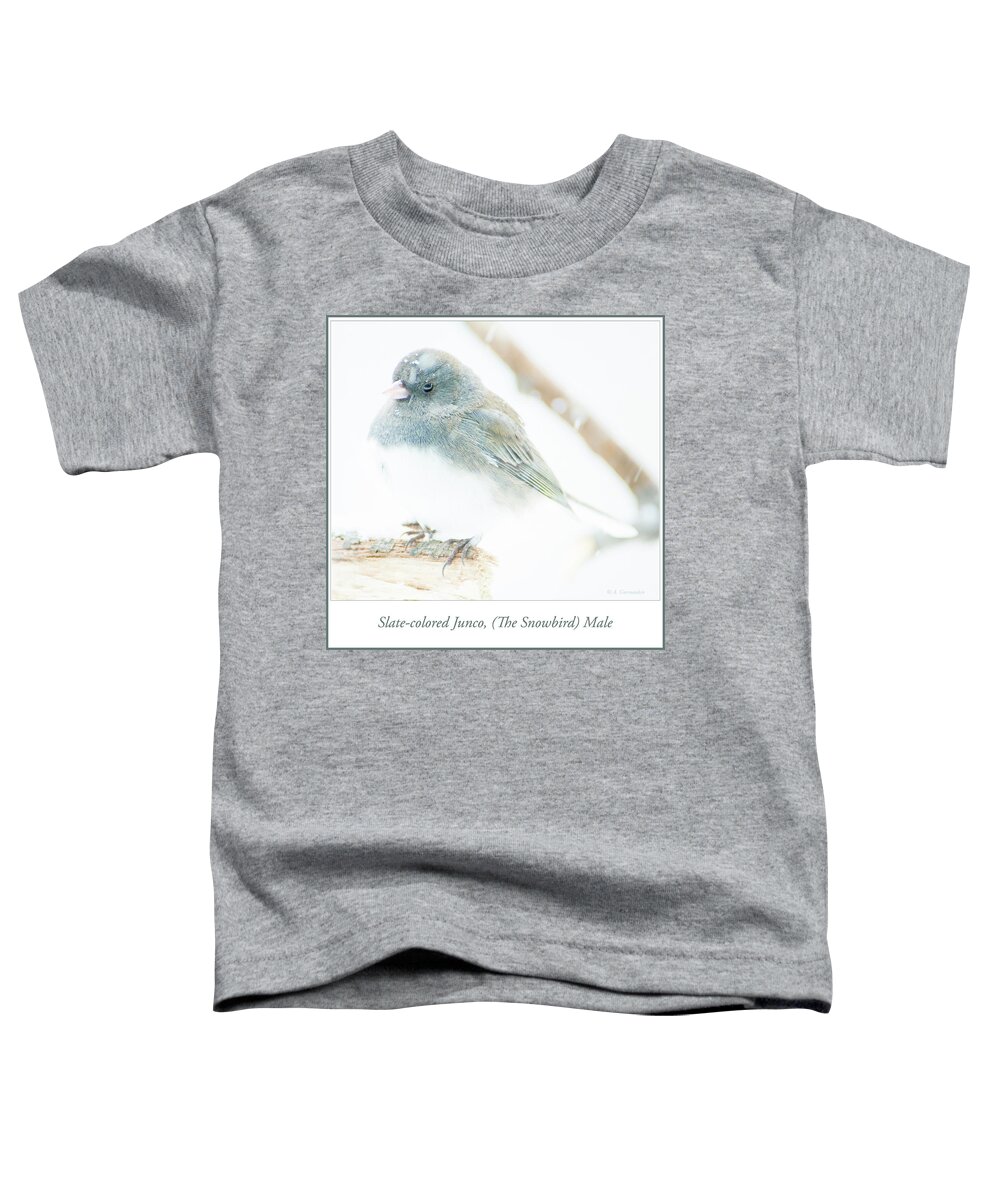 Slate-colored Junco Toddler T-Shirt featuring the photograph Slate Colored Junco Male in Snow #1 by A Macarthur Gurmankin