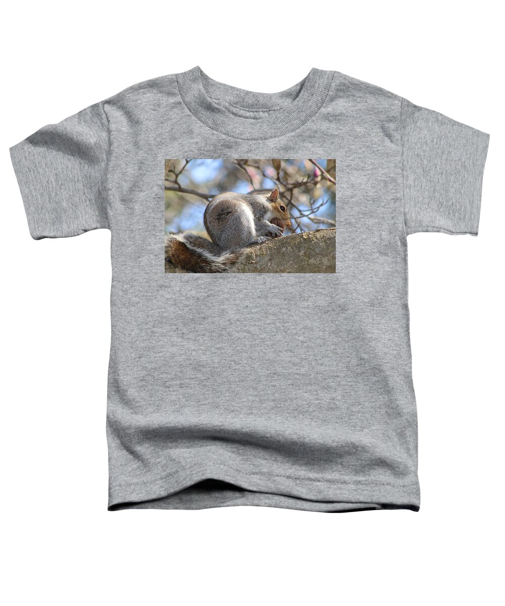 Squirrel Toddler T-Shirt featuring the photograph Sometimes You Feel Like A Nut #1 by Living Color Photography Lorraine Lynch
