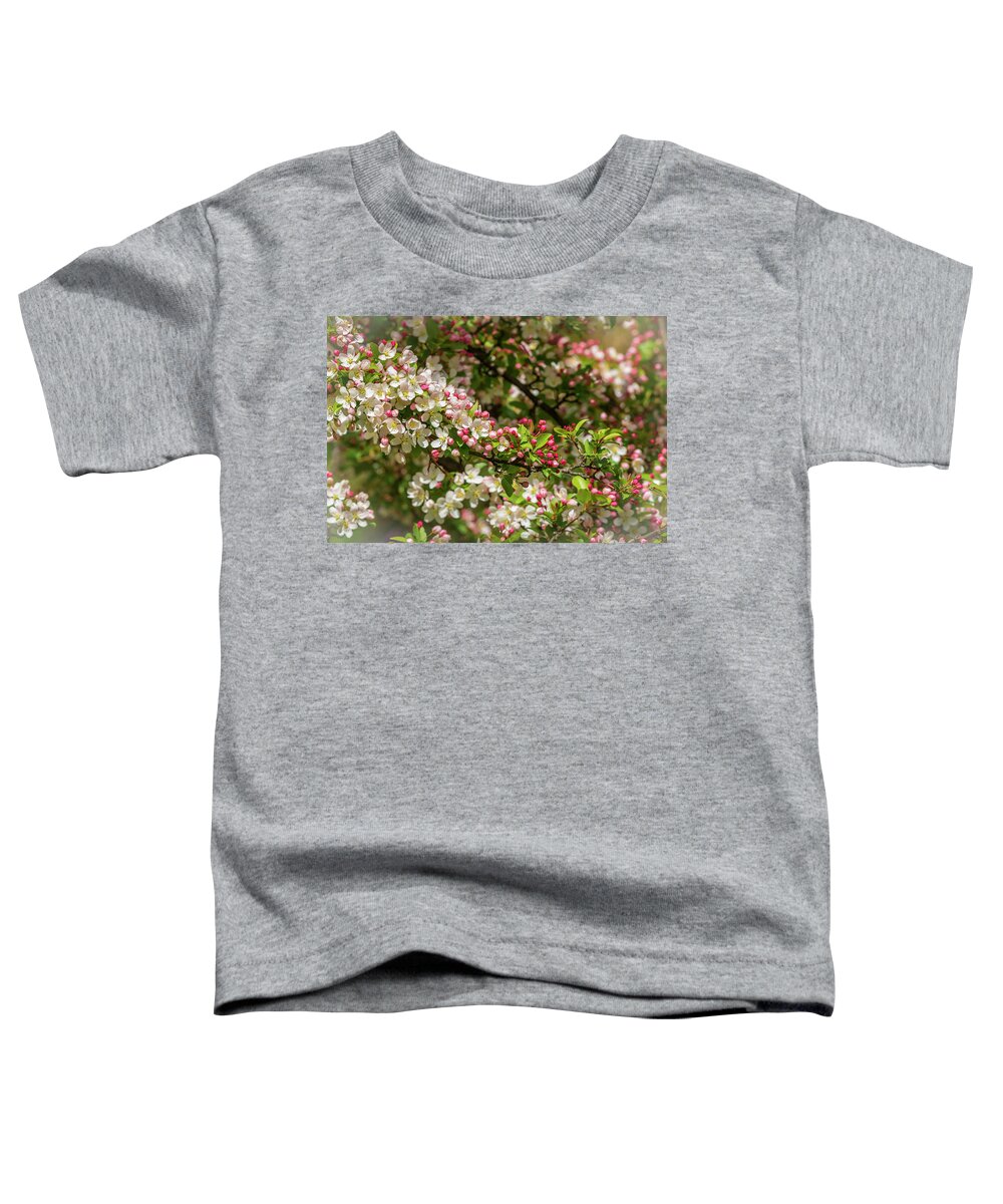 5dmkiv Toddler T-Shirt featuring the photograph Spring Blossoms by Mark Mille