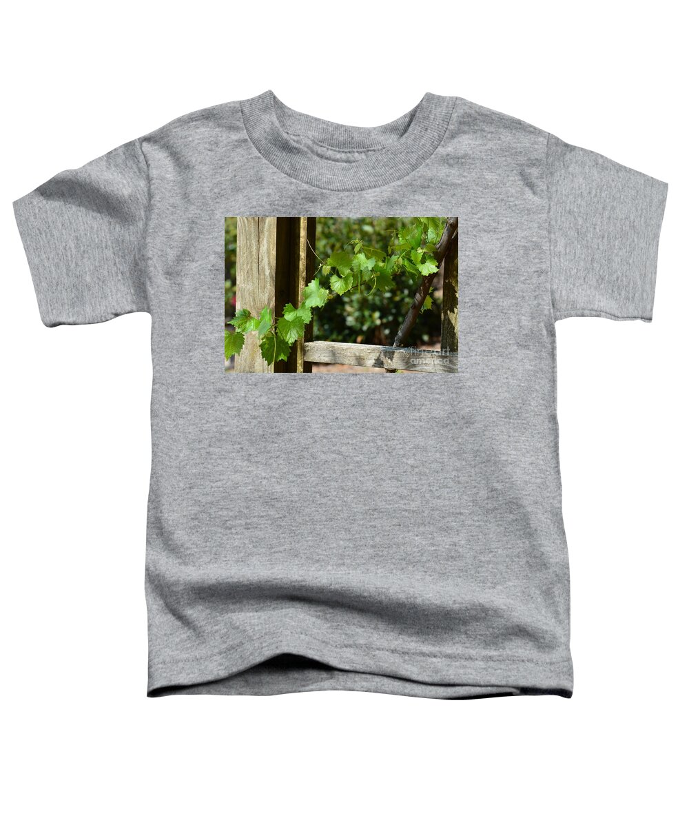 The Simple Things Toddler T-Shirt featuring the photograph The Simple Things #1 by Maria Urso