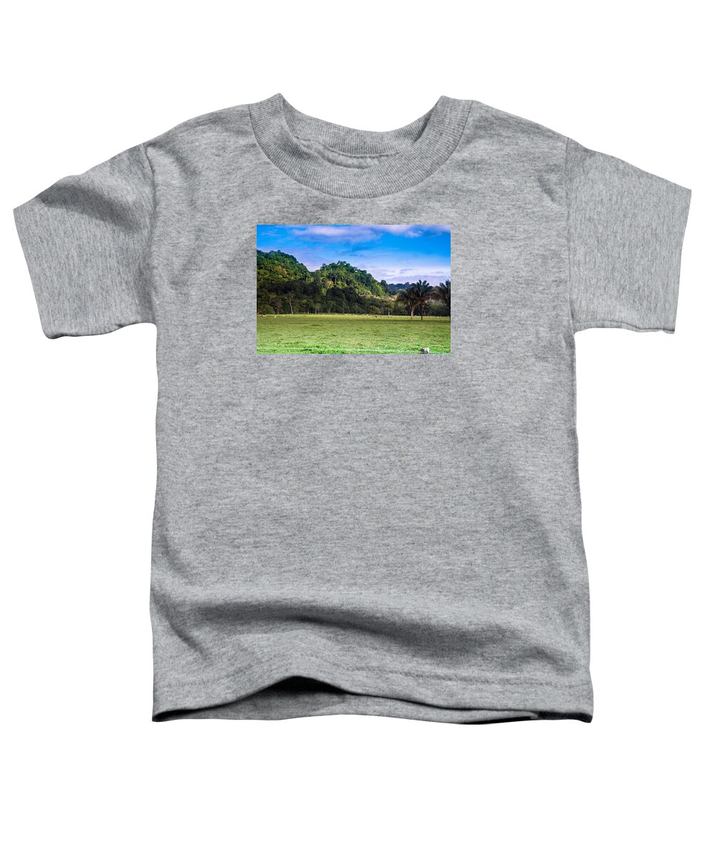 Landscape Toddler T-Shirt featuring the photograph Untitled #1 by Lindsey Weimer
