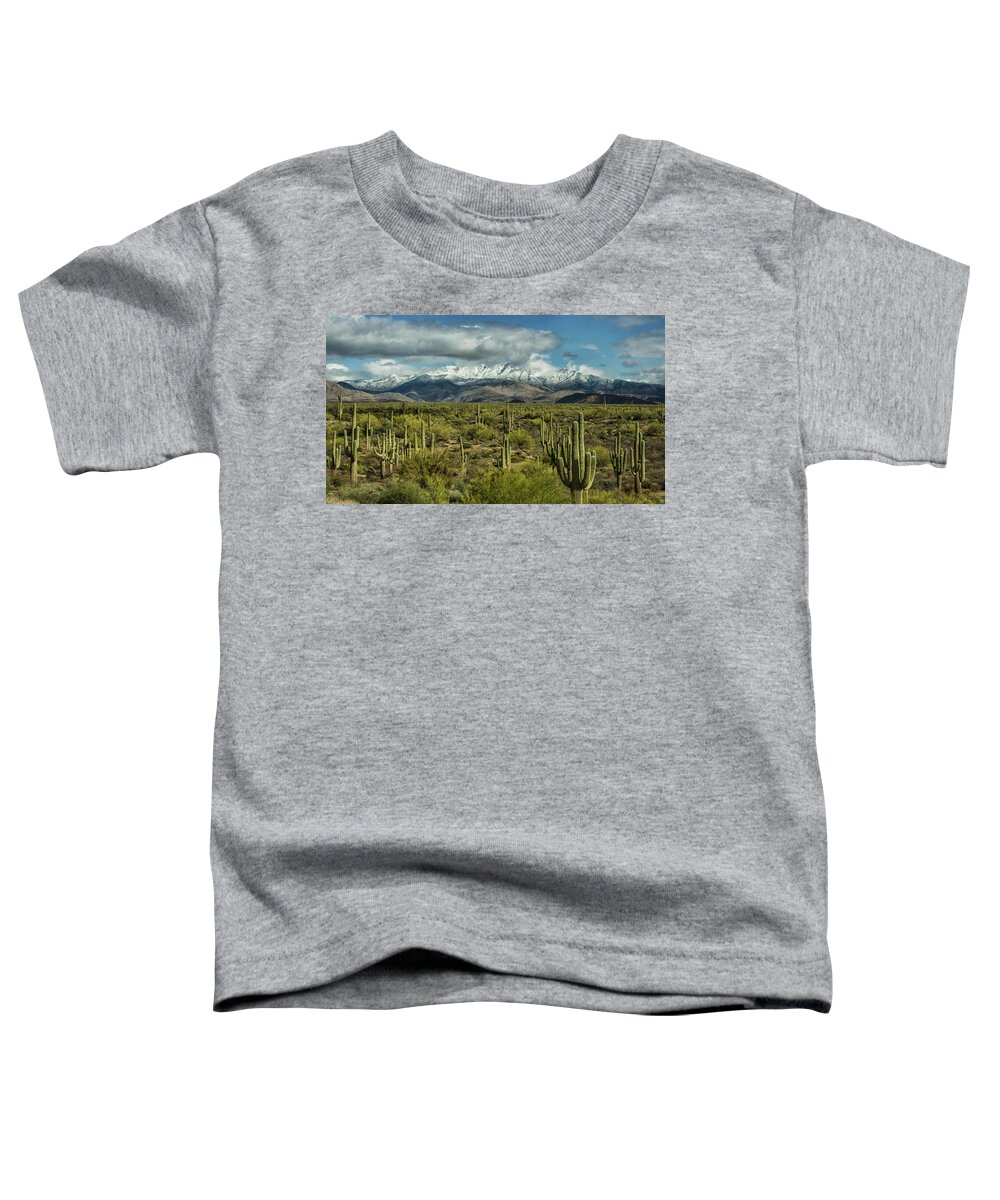Arizona Toddler T-Shirt featuring the photograph Winter Sonoran Style #2 by Saija Lehtonen