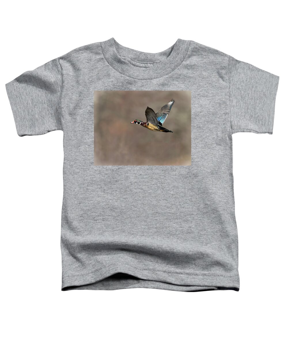 Duck Toddler T-Shirt featuring the photograph Wood Duck Flight #2 by Art Cole