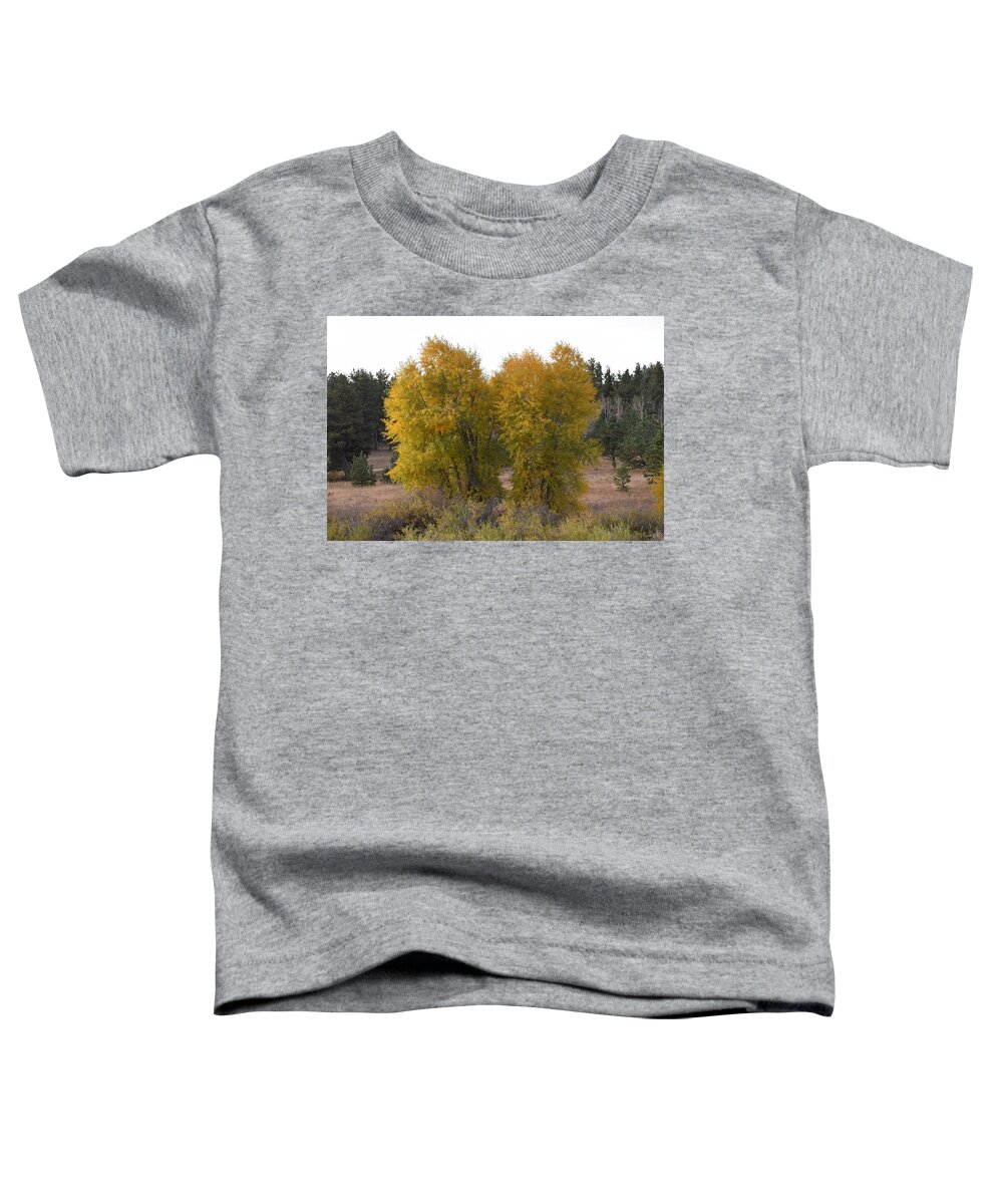 Aspen Toddler T-Shirt featuring the photograph Aspen Trees in the Fall CO by Margarethe Binkley