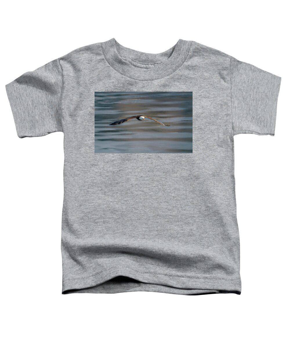 Illinois Toddler T-Shirt featuring the photograph Bald Eagle #17 by Peter Lakomy