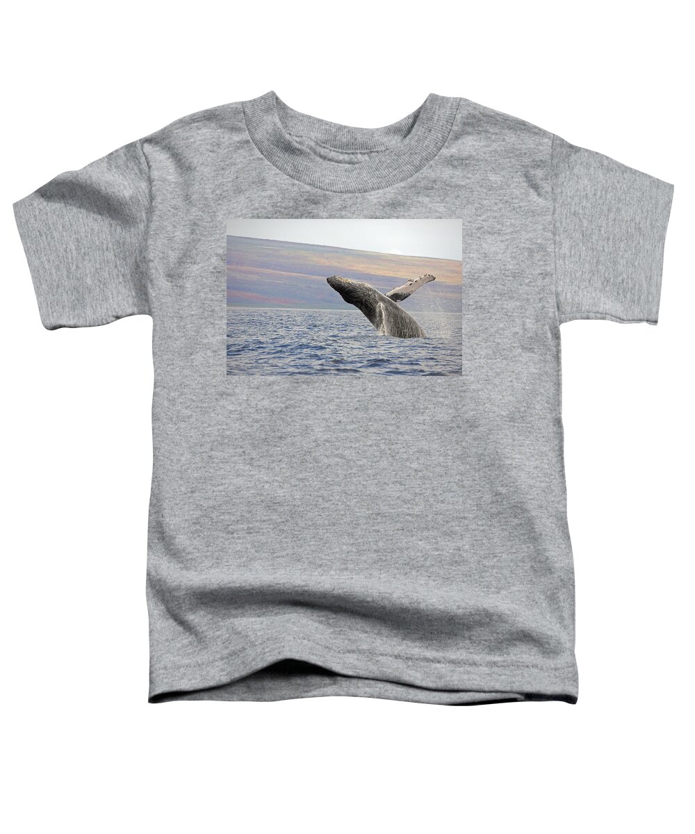 Outdoors Toddler T-Shirt featuring the photograph Breaching Humpback Whale Megaptera #2 by Dave Fleetham