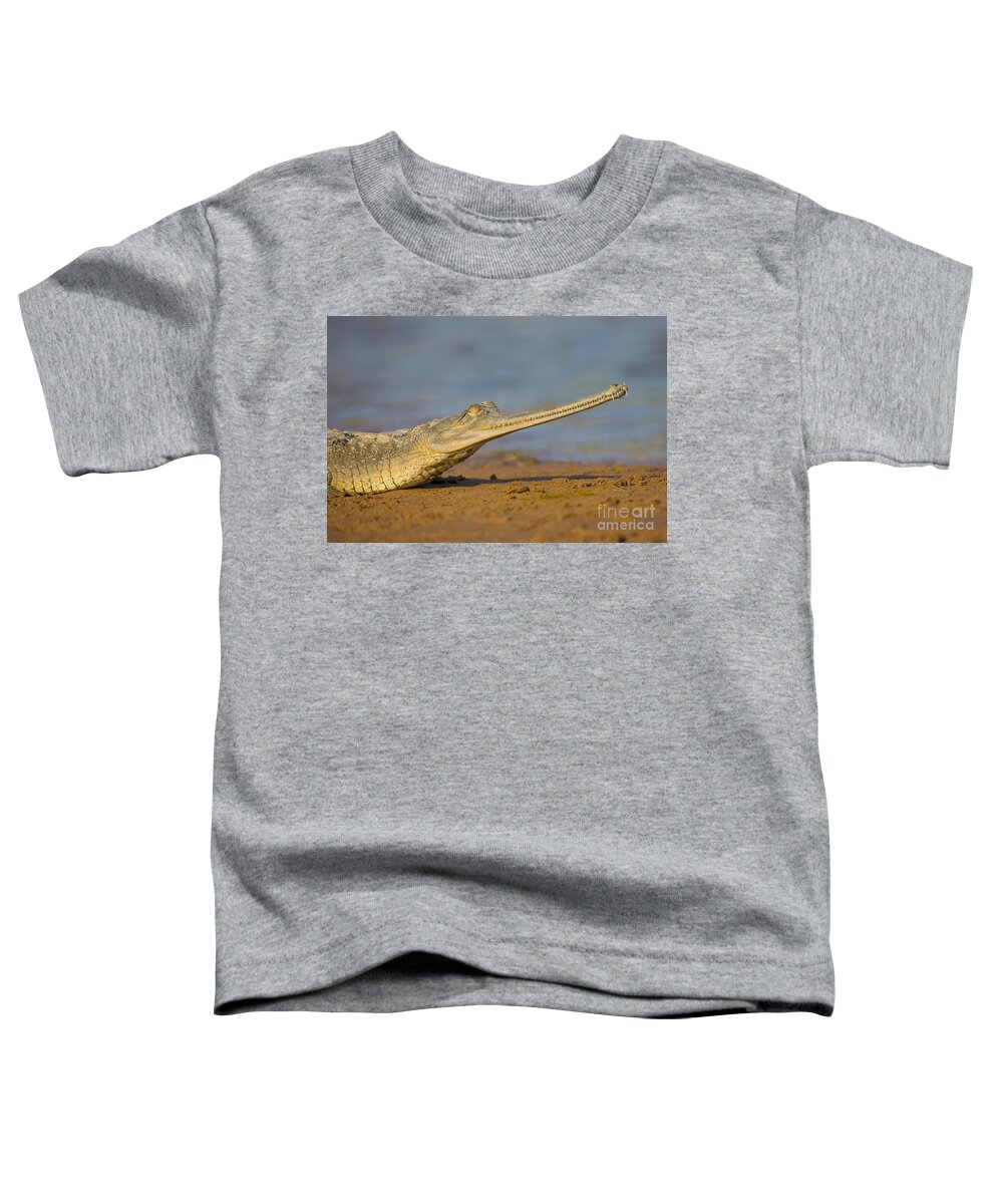 Gharial Toddler T-Shirt featuring the photograph Gharial In India #2 by B. G. Thomson