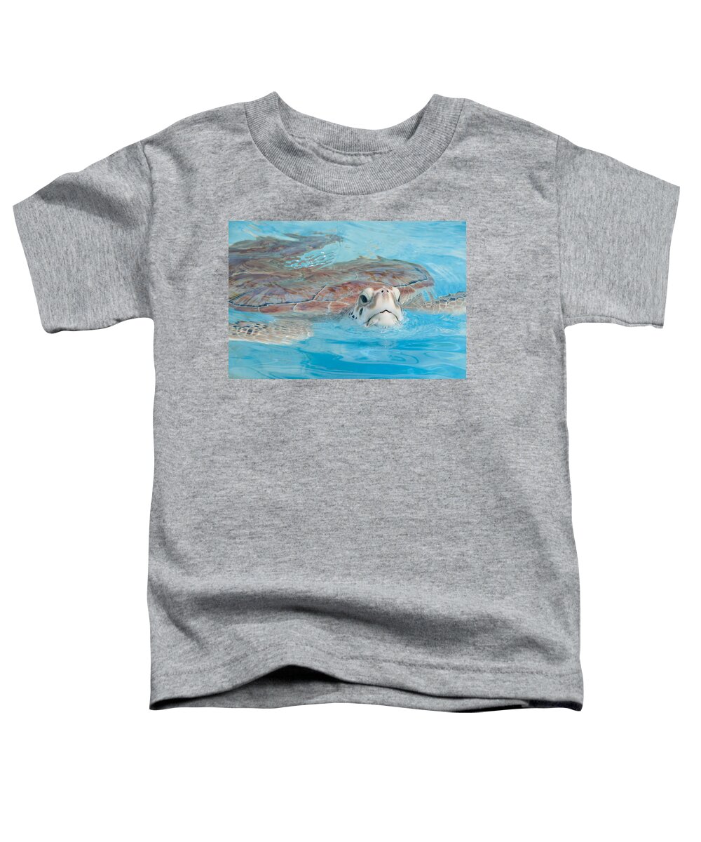 Mexico Quintana Roo Toddler T-Shirt featuring the digital art Green Turtles #2 by Carol Ailles