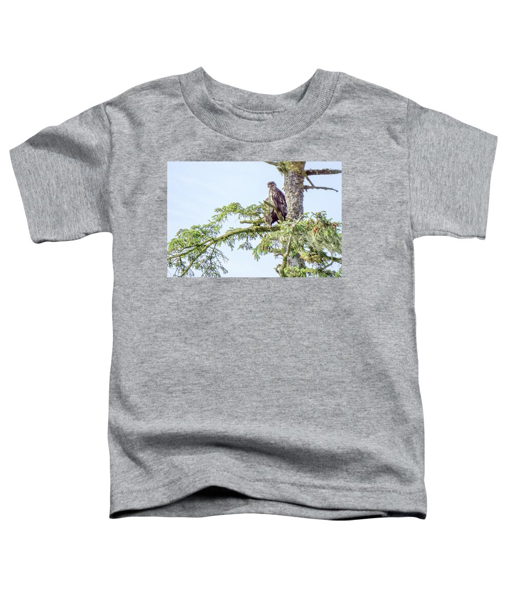 Bald Toddler T-Shirt featuring the photograph Juveniel and adult bald eagle on top of a tree #2 by Alex Grichenko