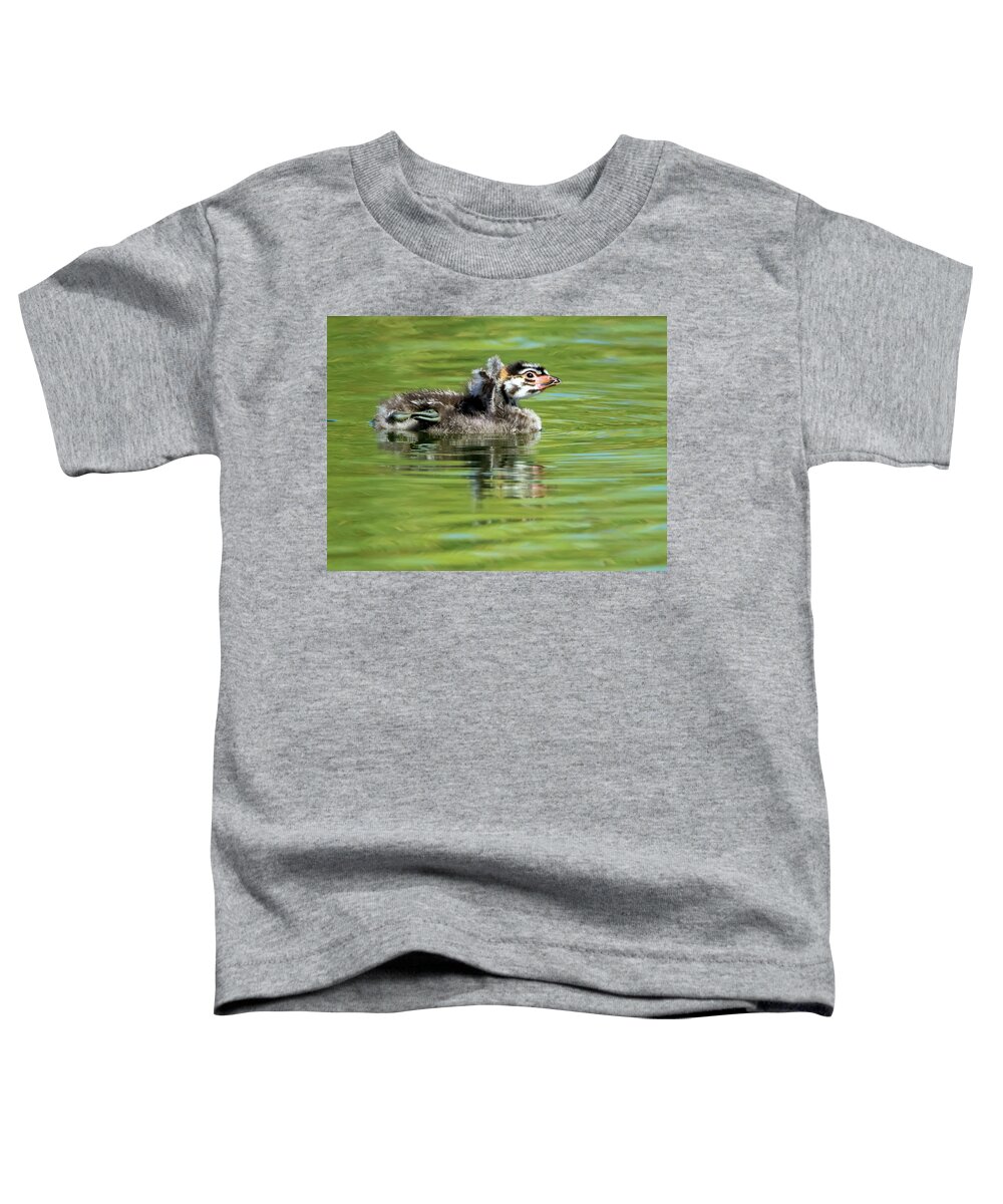 Pied-billed Grebe Toddler T-Shirt featuring the photograph Pied-billed Grebe Juvenile #3 by Tam Ryan
