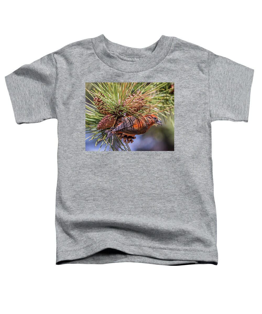 Nature Toddler T-Shirt featuring the photograph Red Crossbill #2 by Michael Cunningham