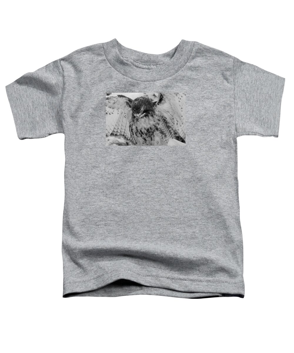 Portrait Toddler T-Shirt featuring the photograph Red-Tailed Hawk in Snow #2 by Joye Ardyn Durham