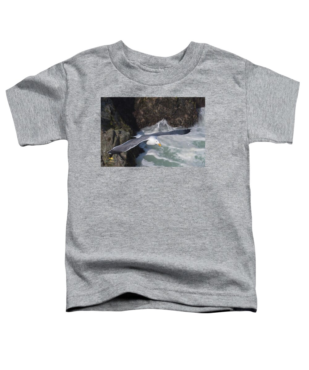 Bodega Bay Toddler T-Shirt featuring the photograph Seagull #2 by Jim Thompson
