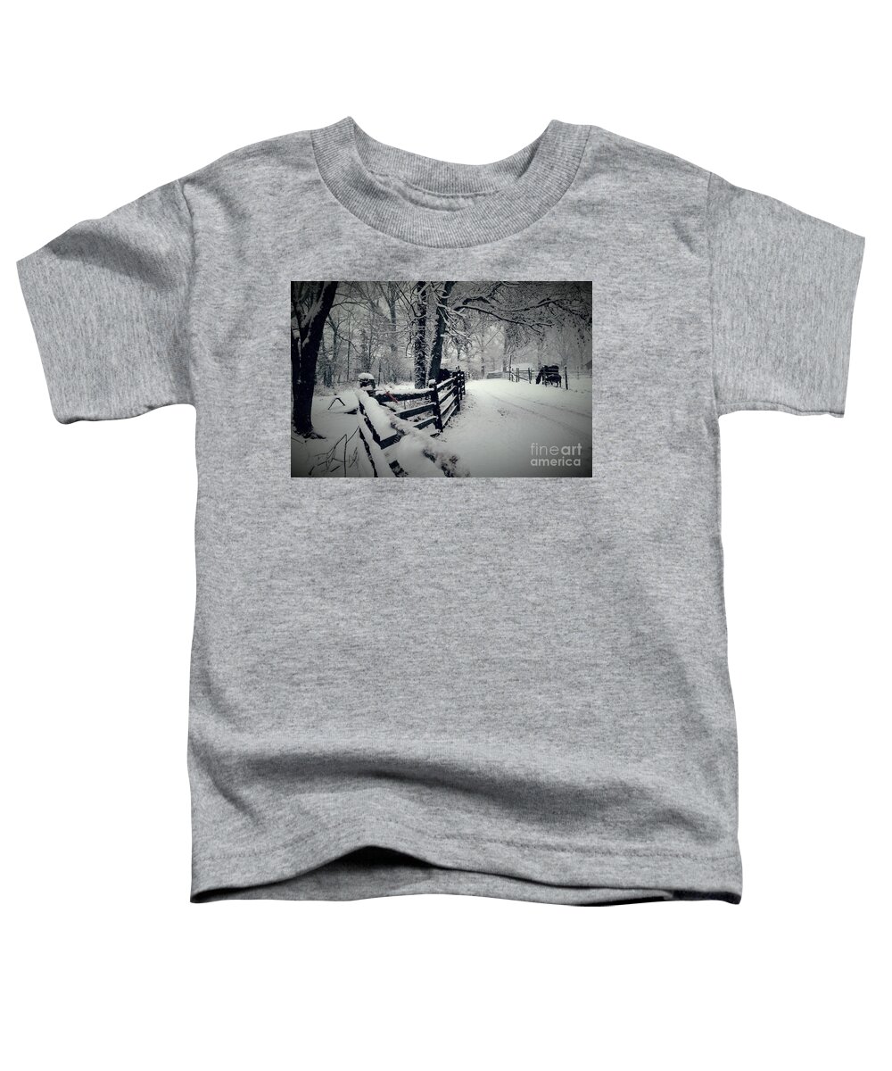 Snow Toddler T-Shirt featuring the photograph The Path #2 by Rabiah Seminole