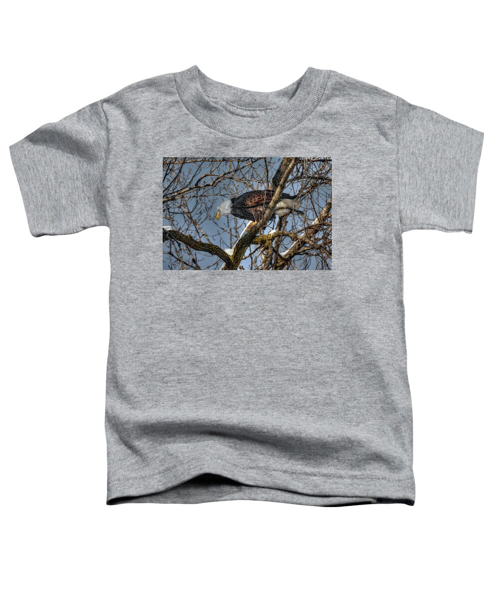 American Bald Eagle Toddler T-Shirt featuring the photograph Tree Top Eagle #2 by Ray Congrove
