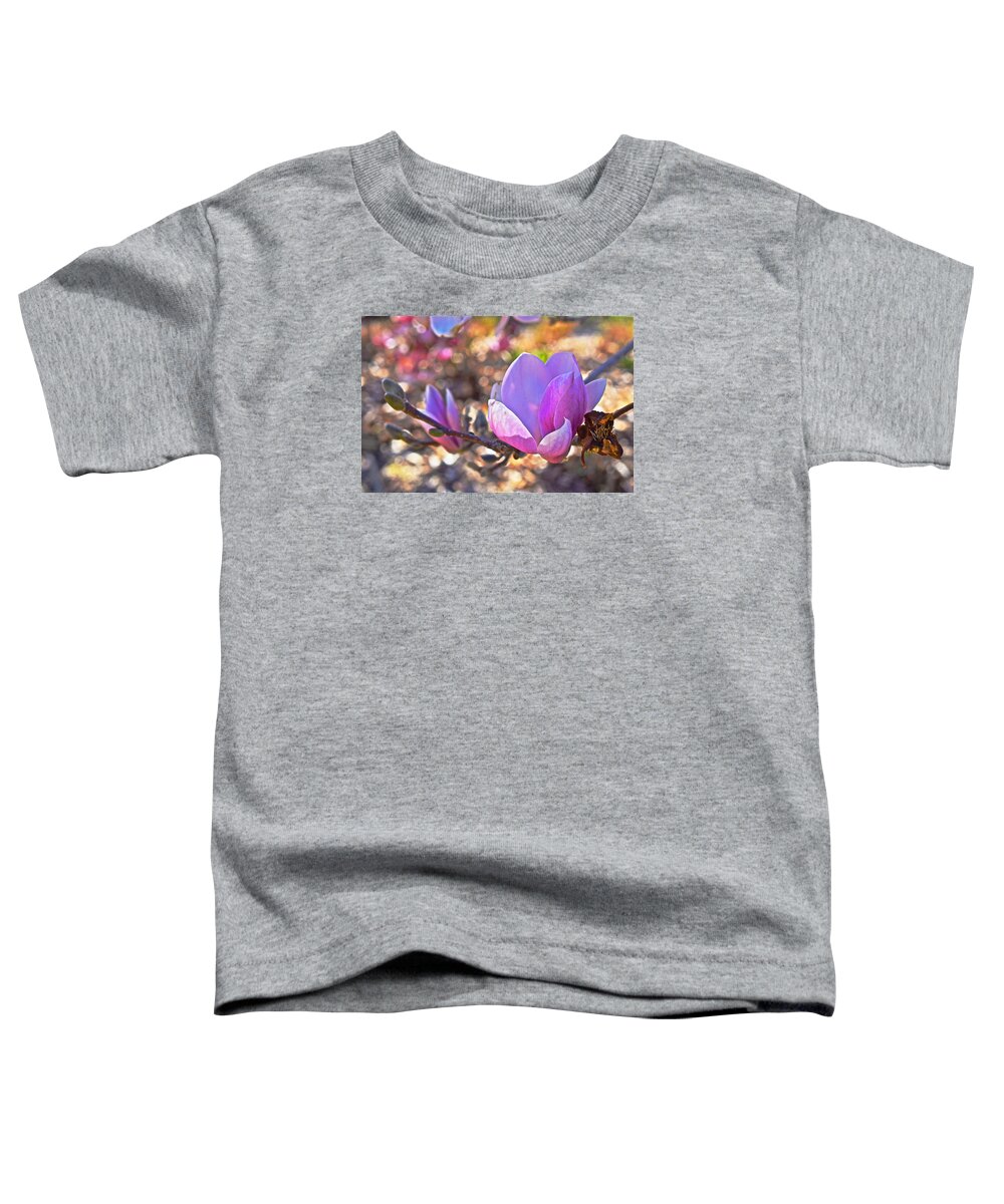 Magnolias Toddler T-Shirt featuring the photograph 2015 Early Spring Magnolia by Janis Senungetuk