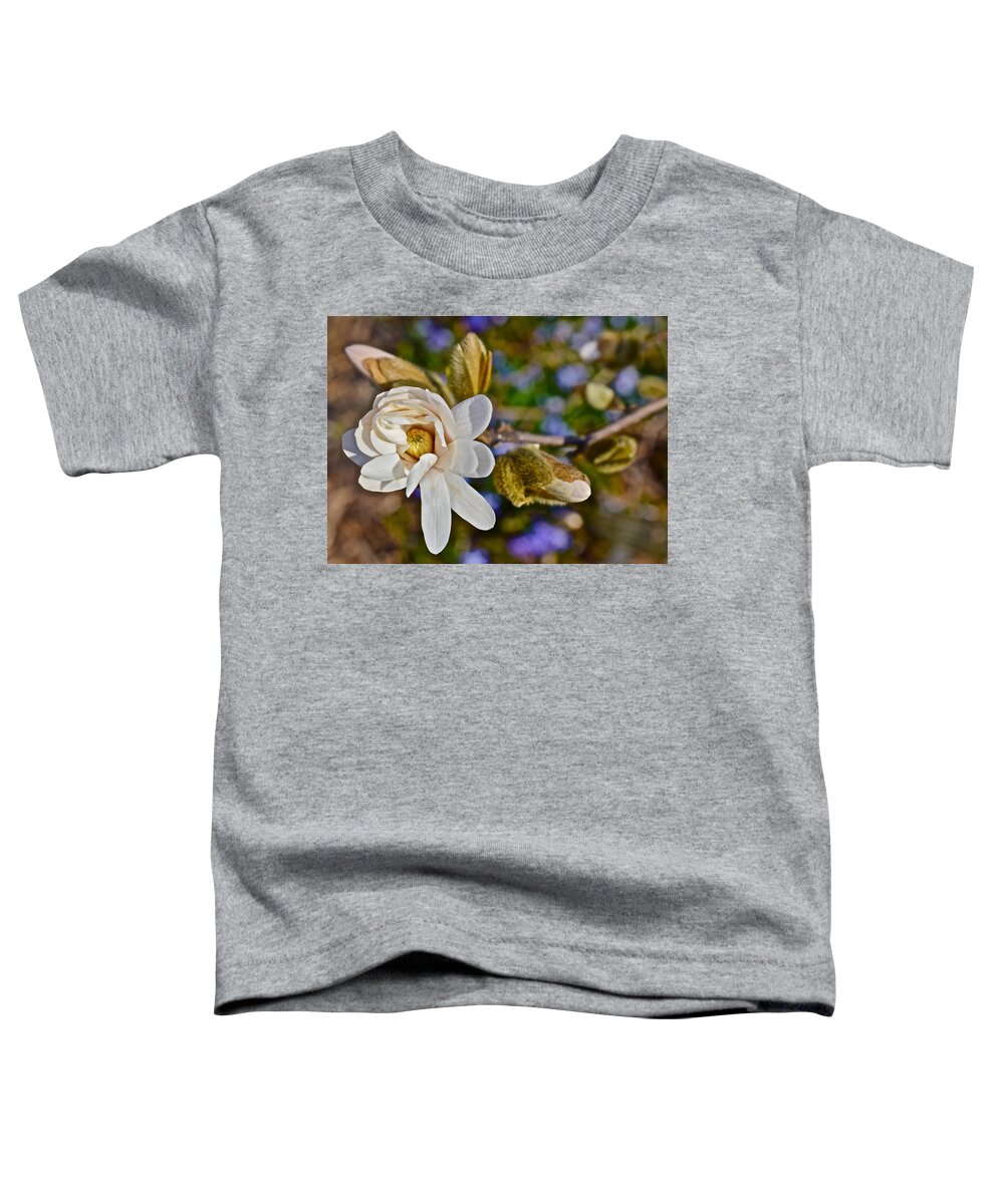Magnolia Toddler T-Shirt featuring the photograph 2016 Early Spring Powder Puff Lebner Magnolia 1 by Janis Senungetuk