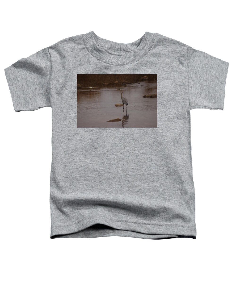 Great Toddler T-Shirt featuring the photograph Great blue heron #3 by James Smullins