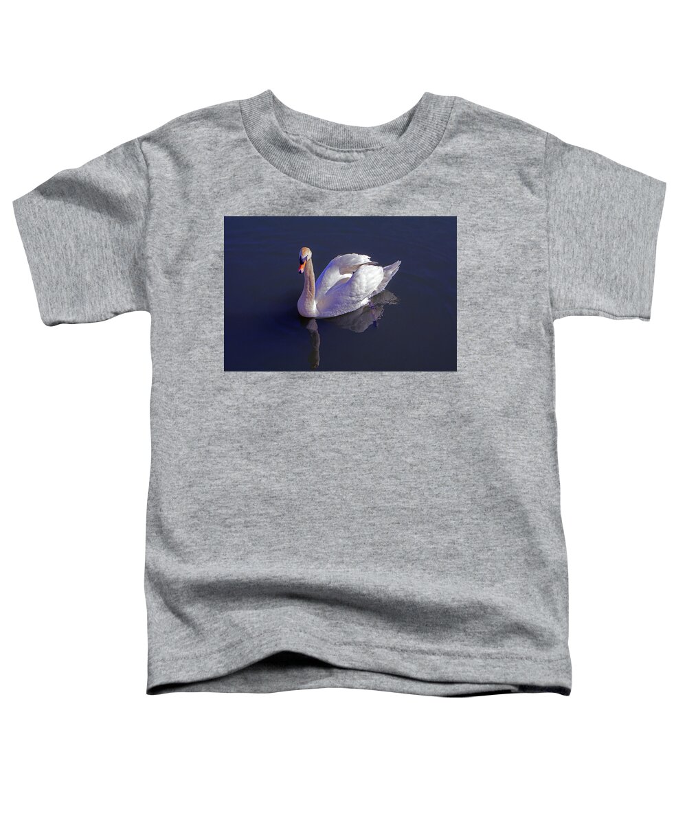 Mute Swan Toddler T-Shirt featuring the photograph Mute Swan #3 by Tony Murtagh