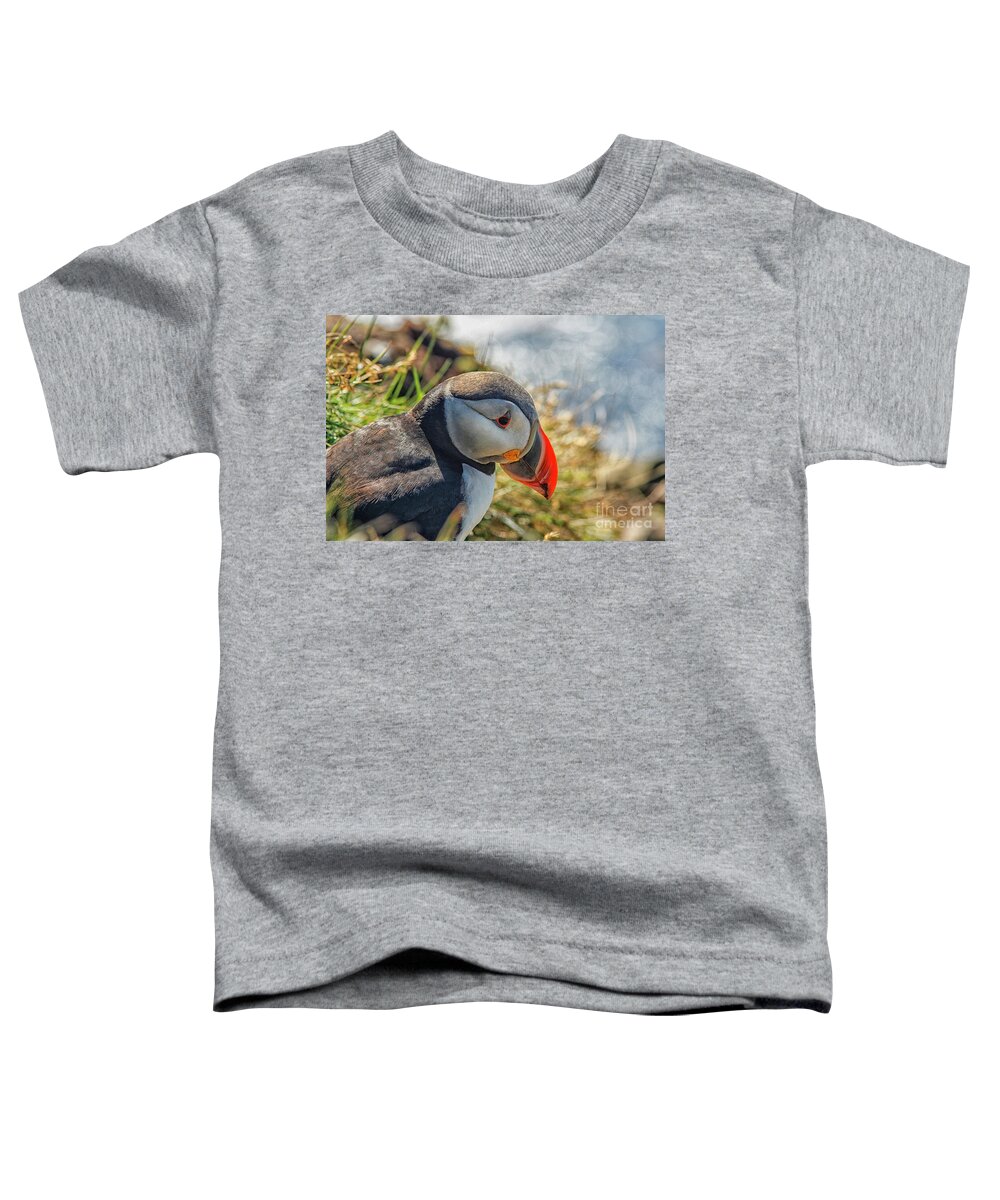 Atlantic Toddler T-Shirt featuring the photograph Puffin by Patricia Hofmeester