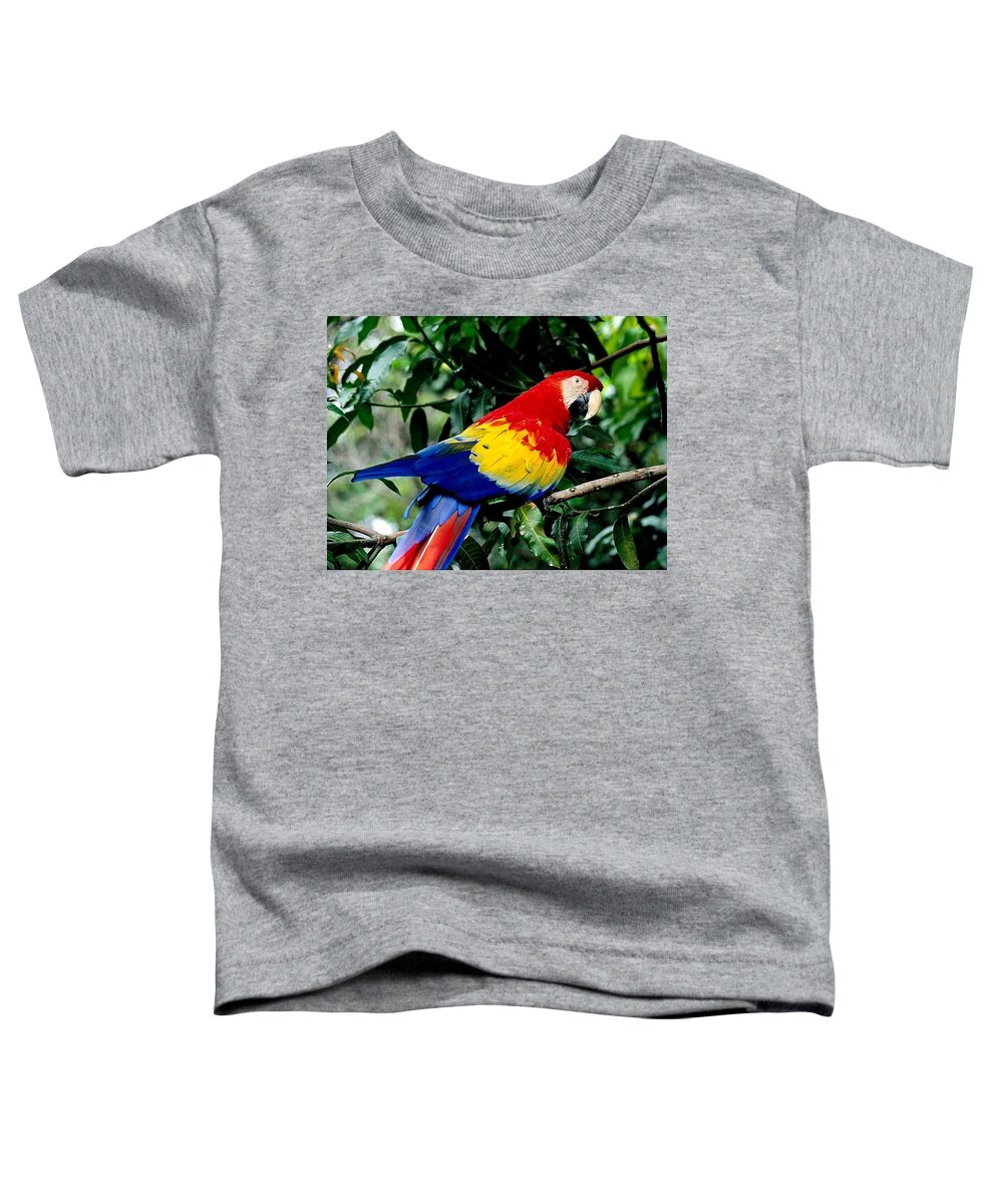 Scarlet Macaw Toddler T-Shirt featuring the photograph Scarlet Macaw #3 by Mariel Mcmeeking