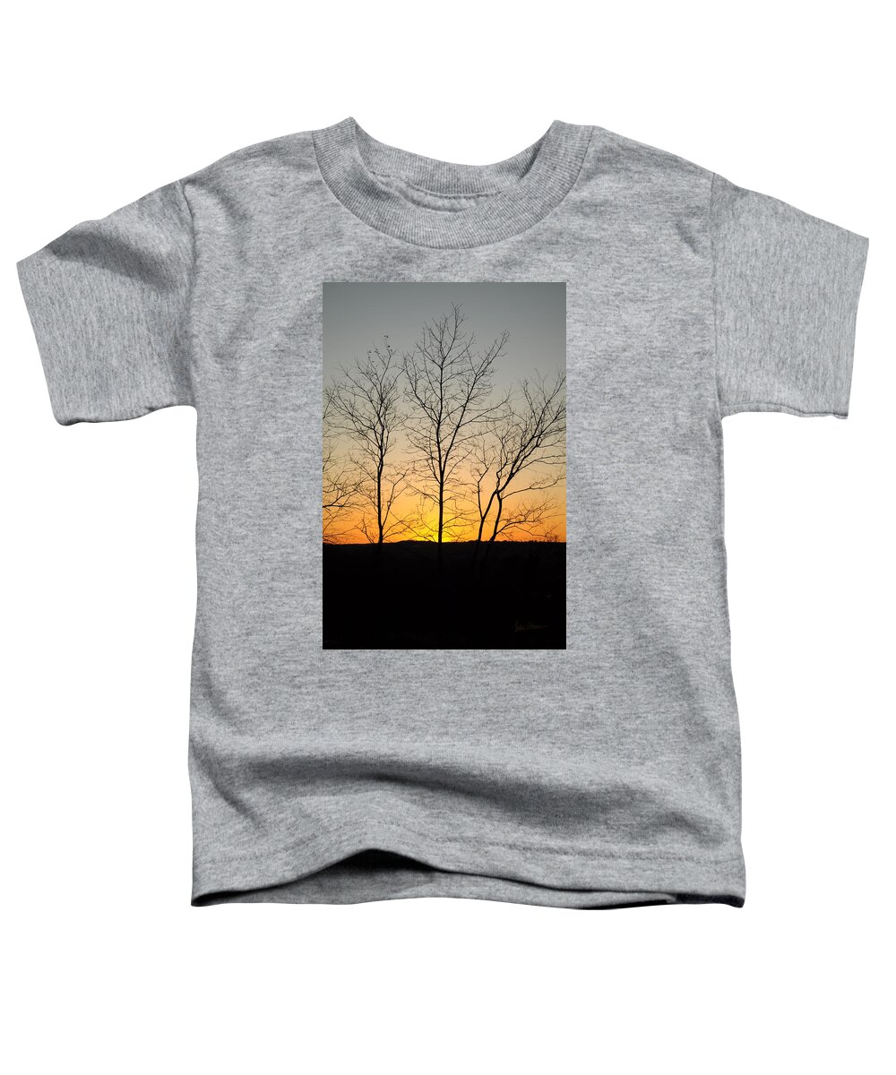 Trees Toddler T-Shirt featuring the photograph 3 Trees by Luke Moore