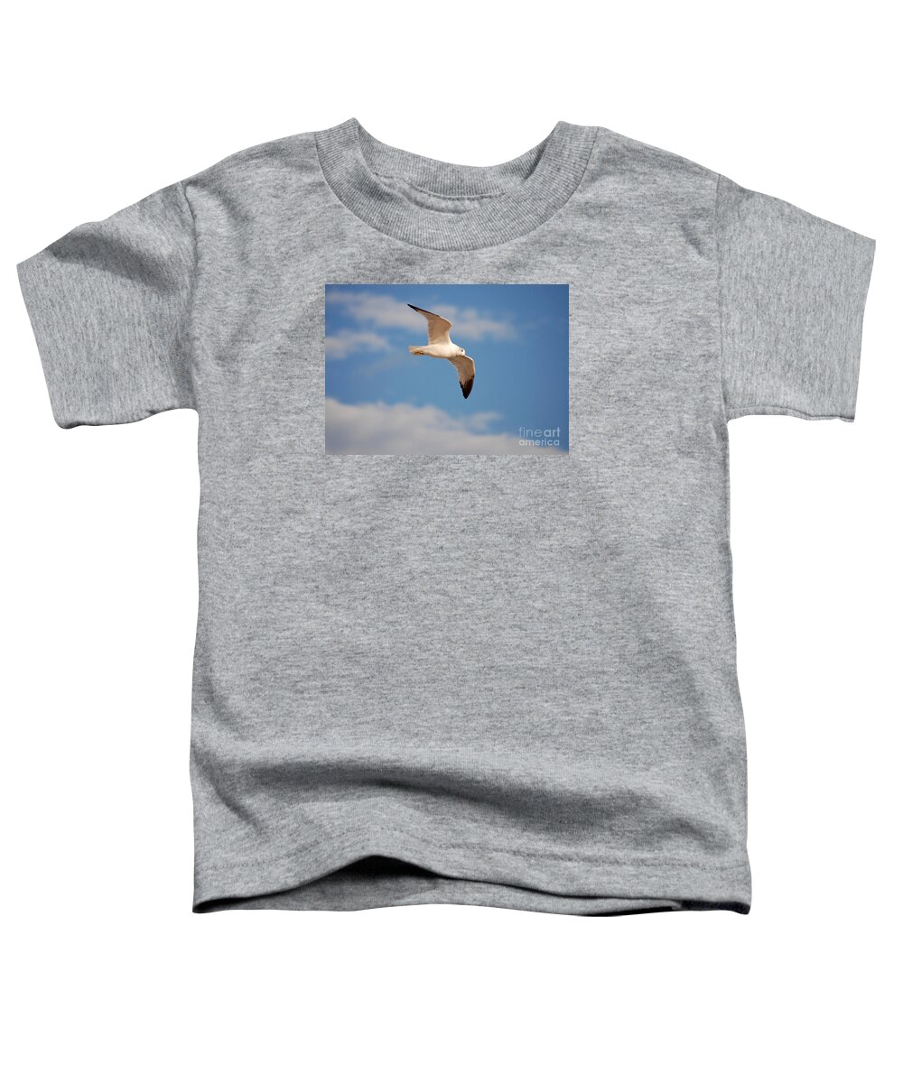 Seagull Toddler T-Shirt featuring the photograph 36- Seagull by Joseph Keane