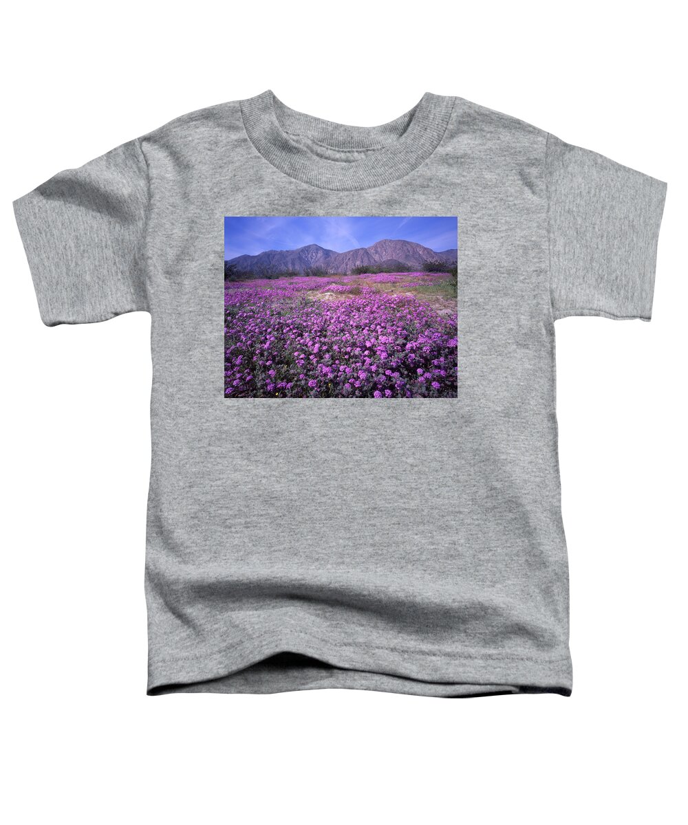 3a6905 Toddler T-Shirt featuring the photograph 3A6905 Spring Bloom Anza Borrego State Park by Ed Cooper Photography