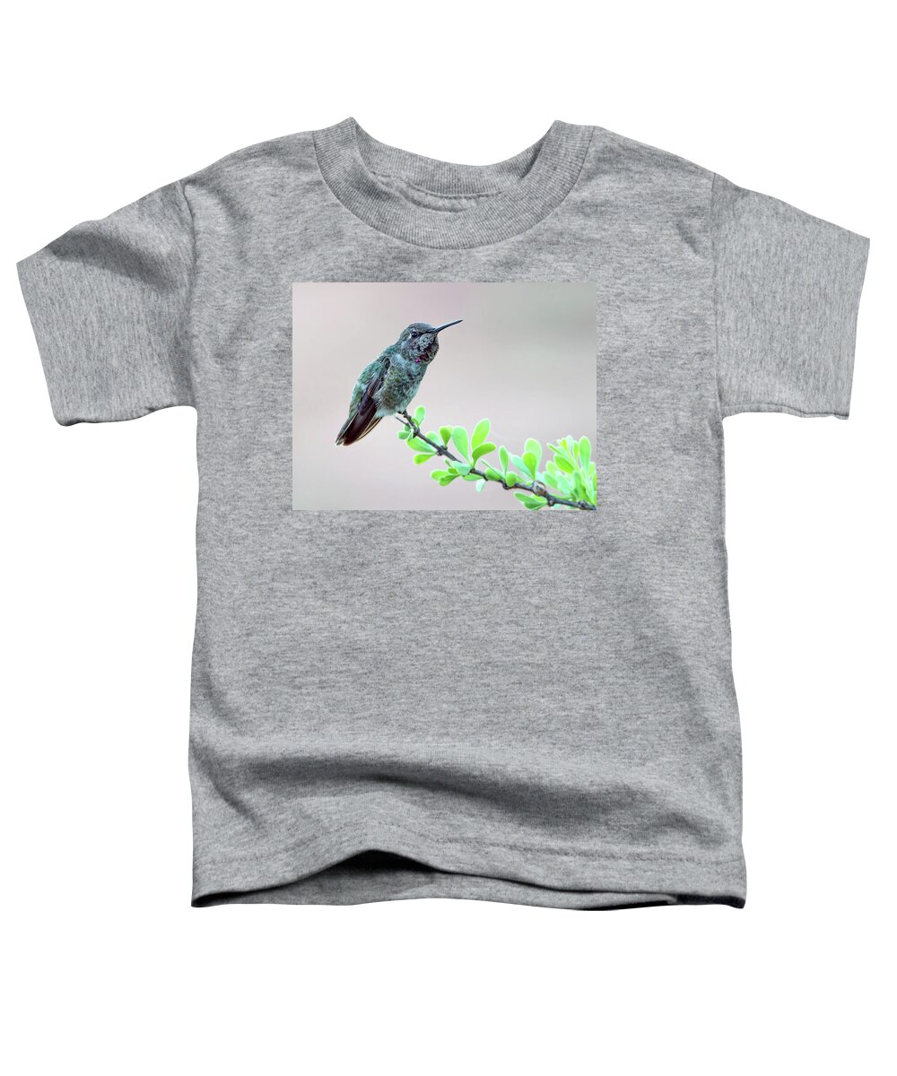 Anna's Toddler T-Shirt featuring the photograph Anna's Hummingbird #5 by Tam Ryan