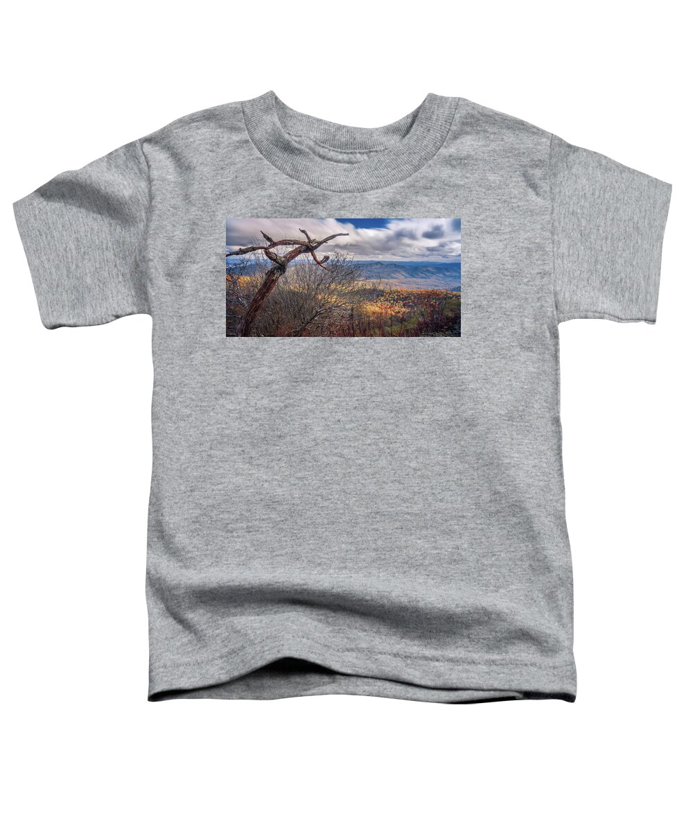 Mountain Toddler T-Shirt featuring the photograph Beautiful Autumn Landscape In North Carolina Mountains #4 by Alex Grichenko