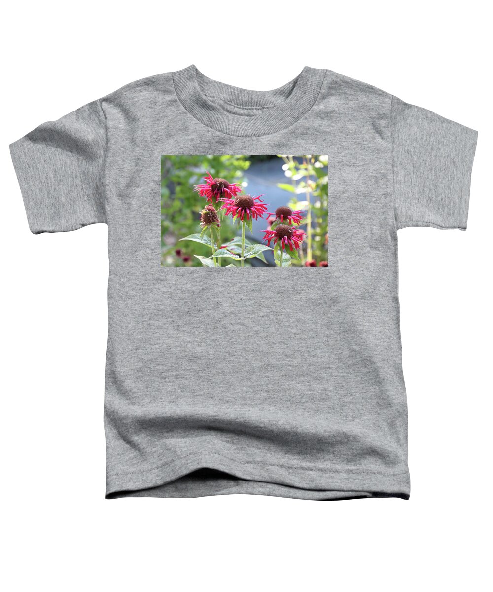 Watkins Glen Toddler T-Shirt featuring the photograph Red flower #4 by Susan Jensen