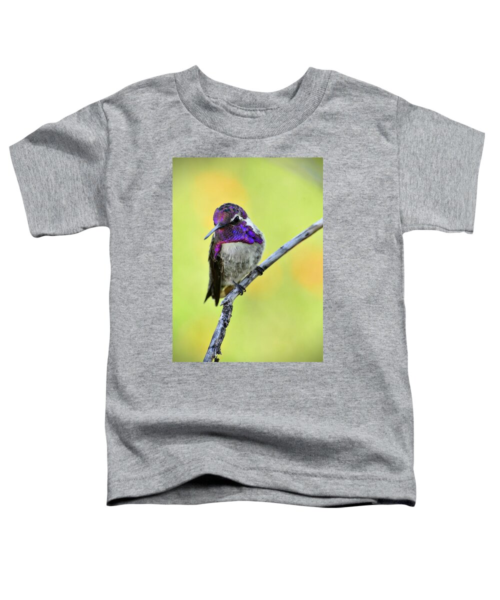 Costas Hummingbird Toddler T-Shirt featuring the photograph Costas Hummingbird #5 by Saija Lehtonen