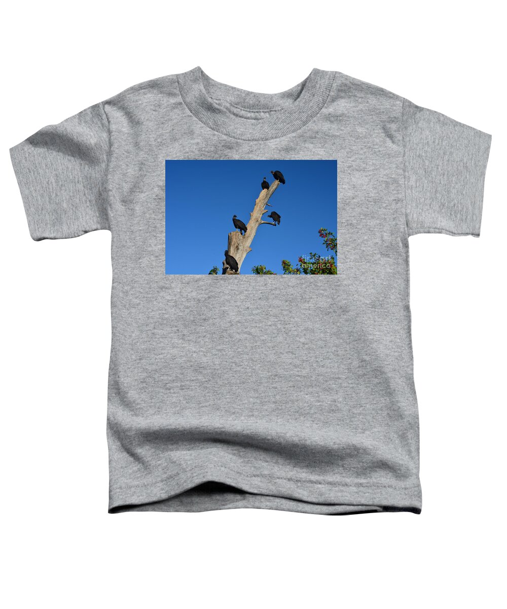 Black Vultures Toddler T-Shirt featuring the photograph 72- Black Vultures by Joseph Keane