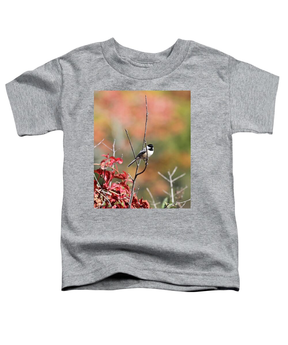 Little Bird Toddler T-Shirt featuring the photograph Little bird #8 by Lilia S