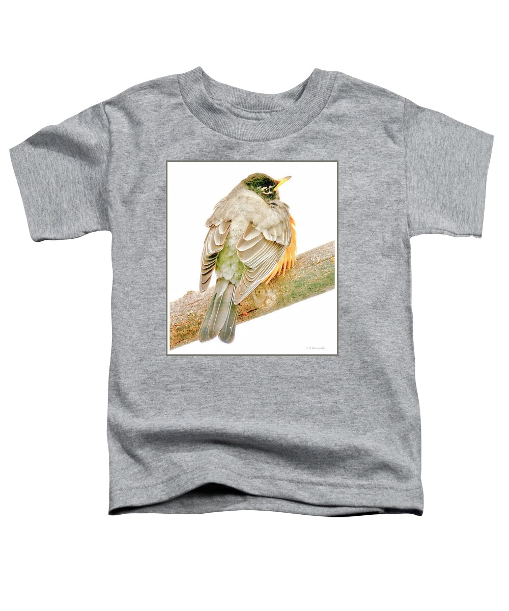 Male Toddler T-Shirt featuring the photograph American Robin Male, Animal Portrait #9 by A Macarthur Gurmankin
