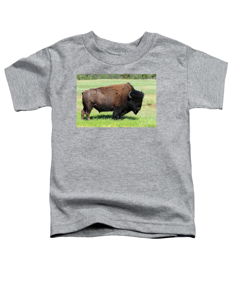 Bison Toddler T-Shirt featuring the photograph A Big Guy by Christiane Schulze Art And Photography