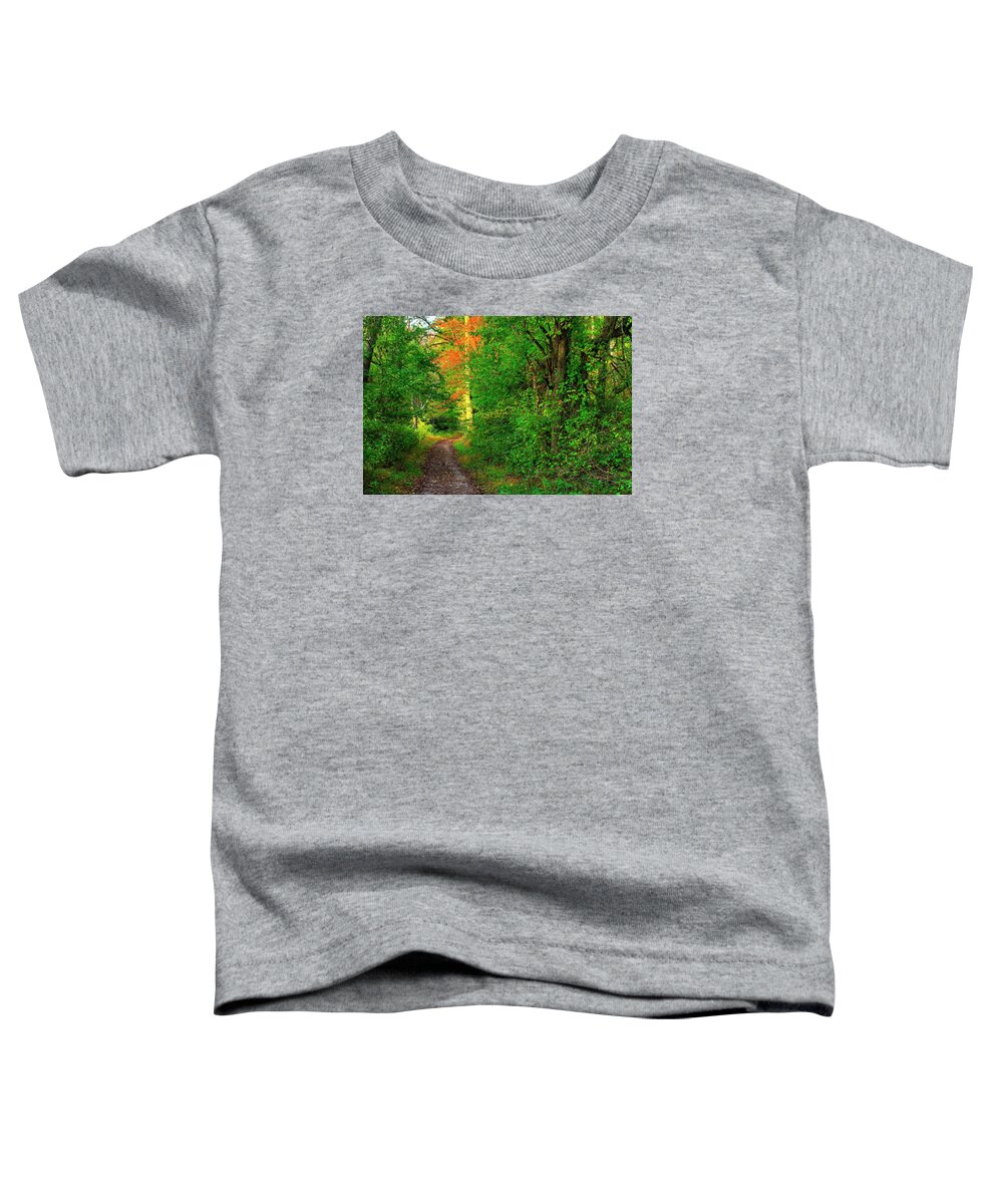 Foxcatcher Farms Toddler T-Shirt featuring the photograph A Light in the Forest - Fair Hill Nature Center at Foxcatcher Farms - Cecil County, MD by Michael Mazaika