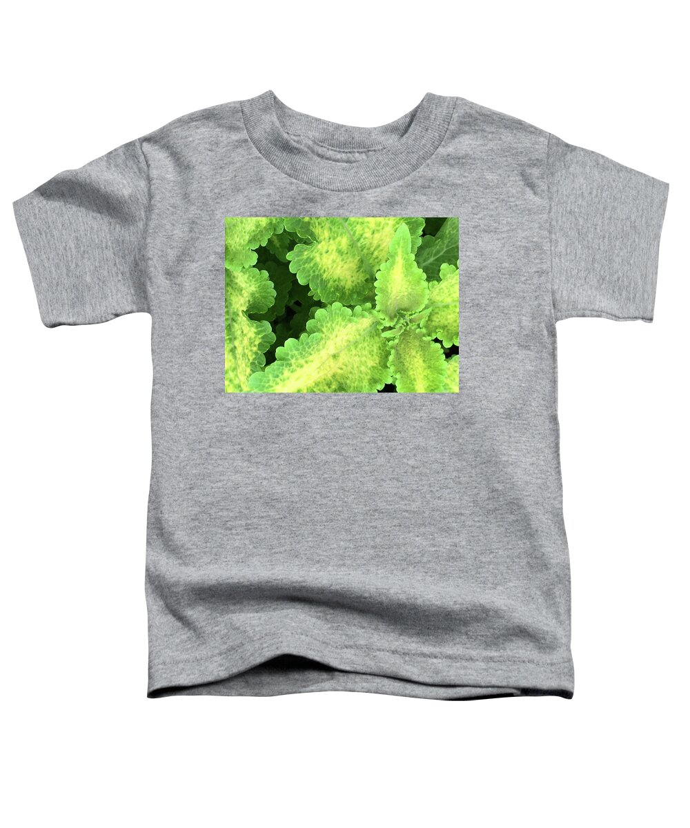 Plant Toddler T-Shirt featuring the photograph A Look Inside by Jacklyn Duryea Fraizer