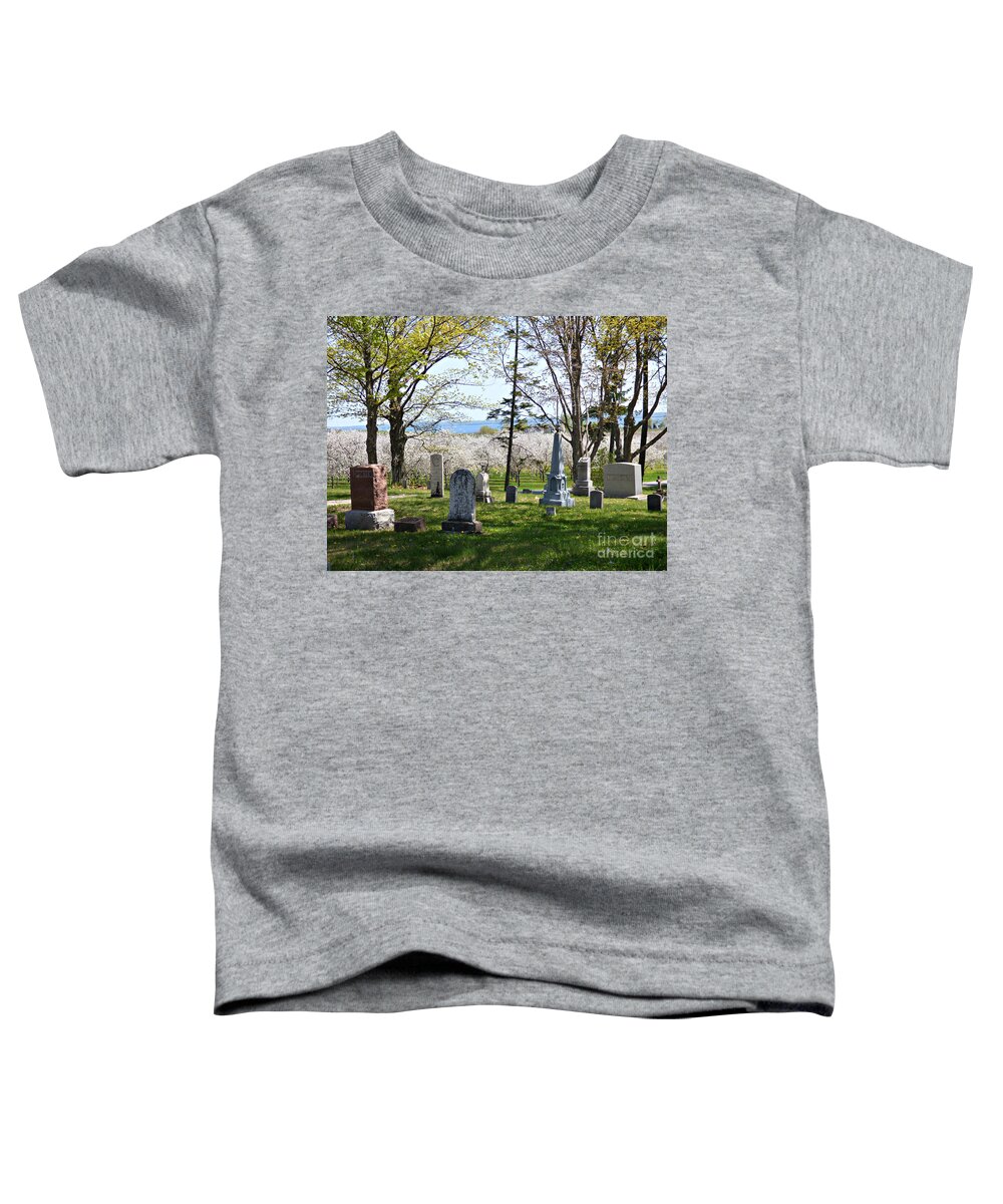 Cemetery Toddler T-Shirt featuring the photograph A Tomb With A View by Scott Ward